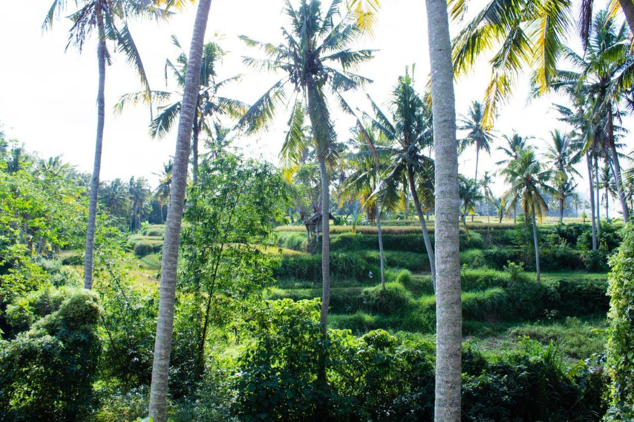 Alam Grigis Ubud Exteriör bild